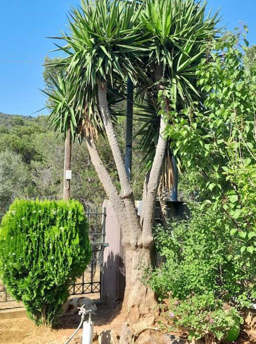 Paradise Δασκαλειό Εξωτερικό φωτογραφία