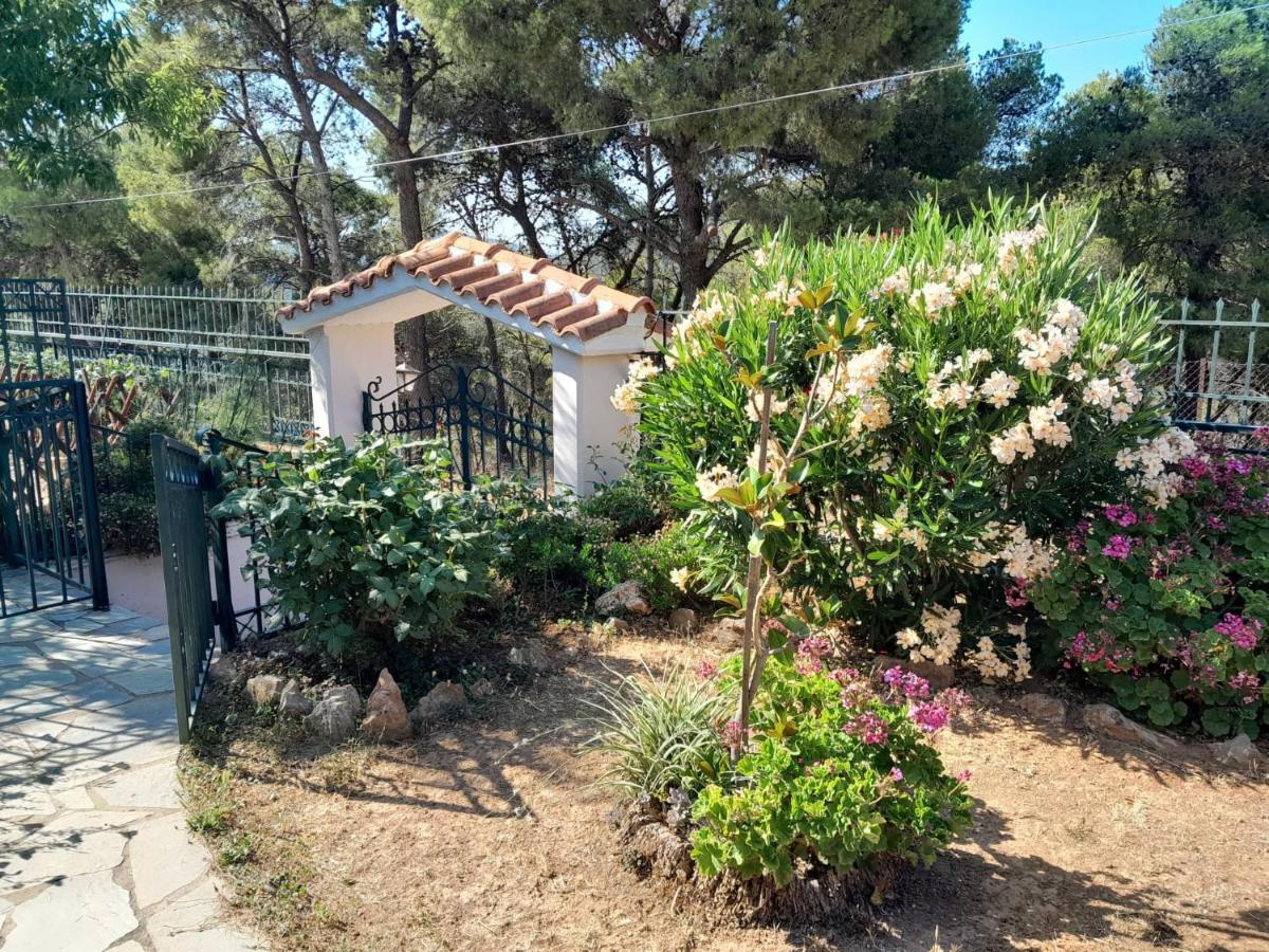 Paradise Δασκαλειό Εξωτερικό φωτογραφία