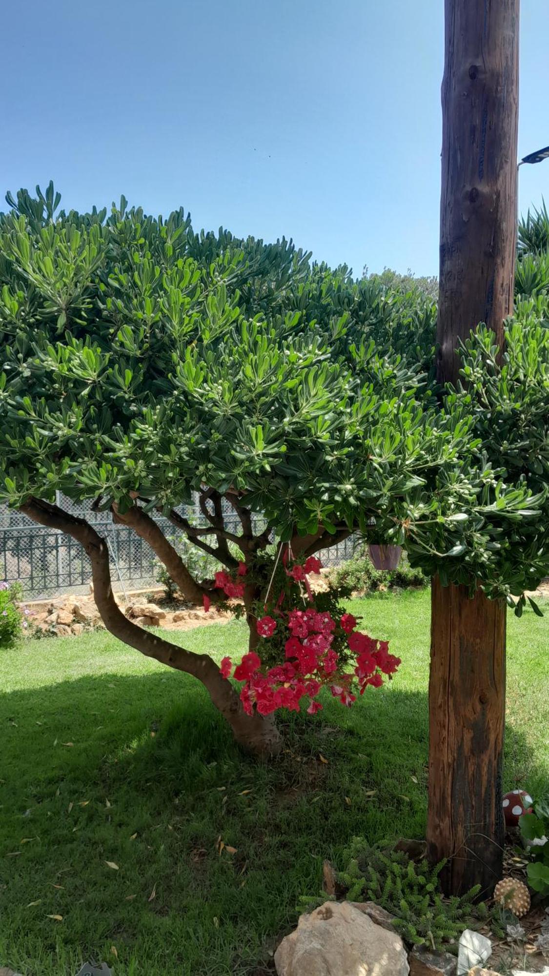 Paradise Δασκαλειό Εξωτερικό φωτογραφία