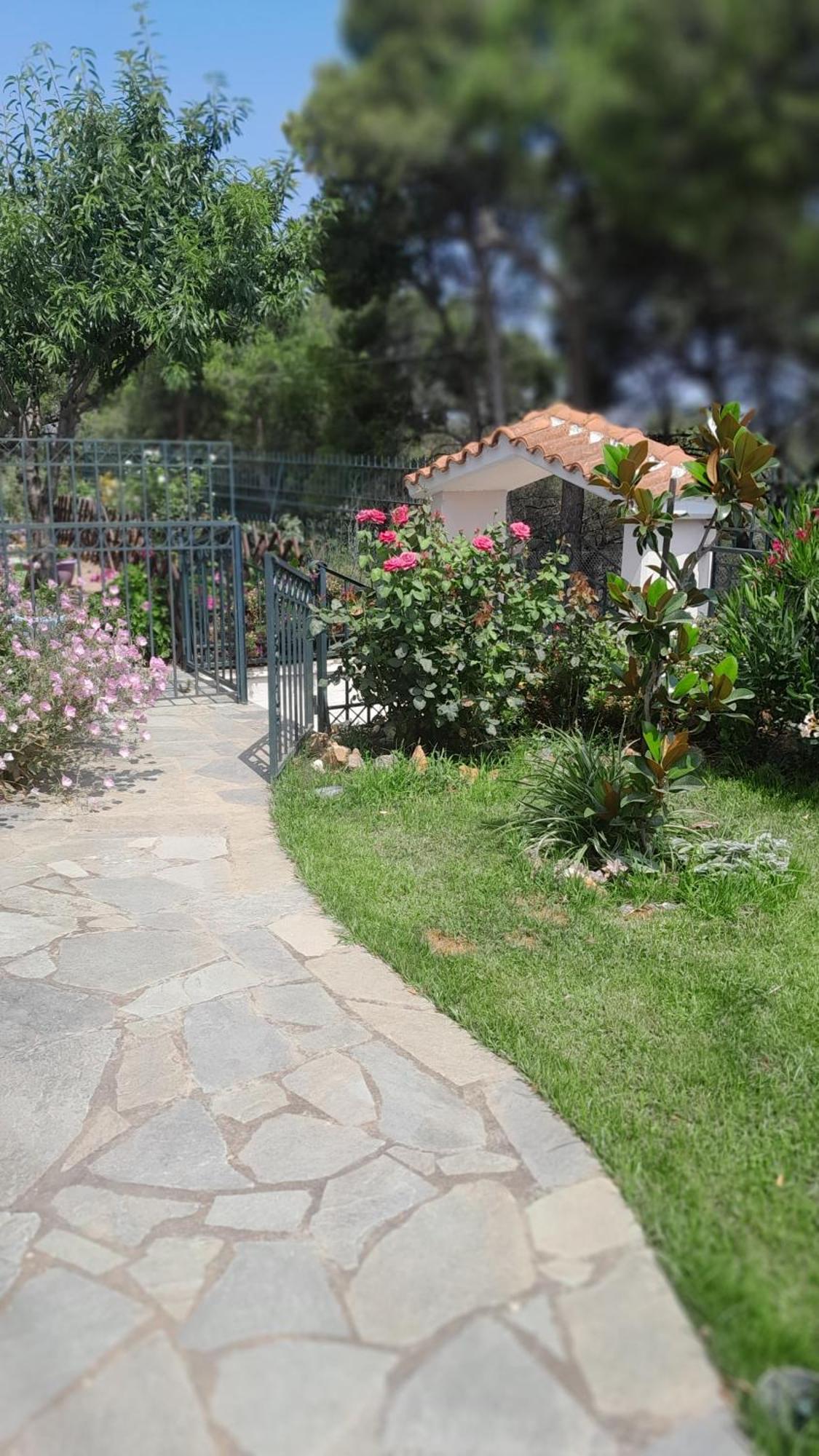 Paradise Δασκαλειό Εξωτερικό φωτογραφία